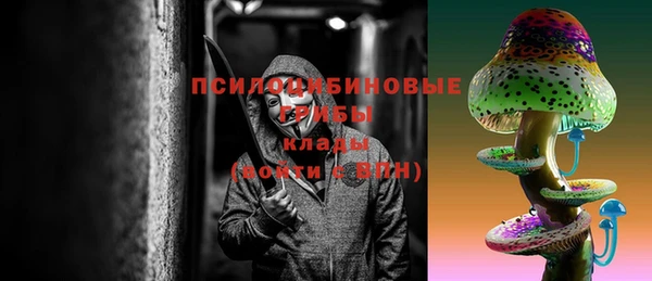 СК Балахна