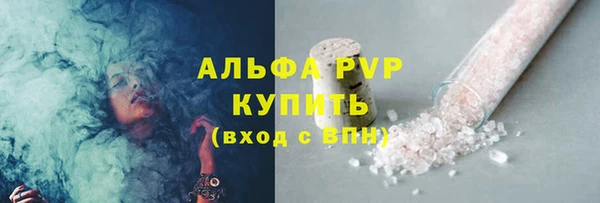 крисы Баксан