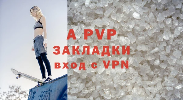крисы Баксан