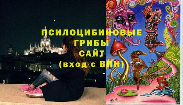 крисы Баксан