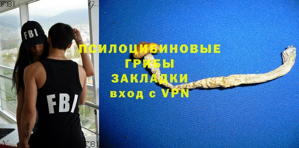 СК Балахна